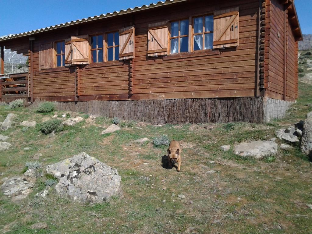 Les Chalets De Lozzi Калакуча Екстериор снимка