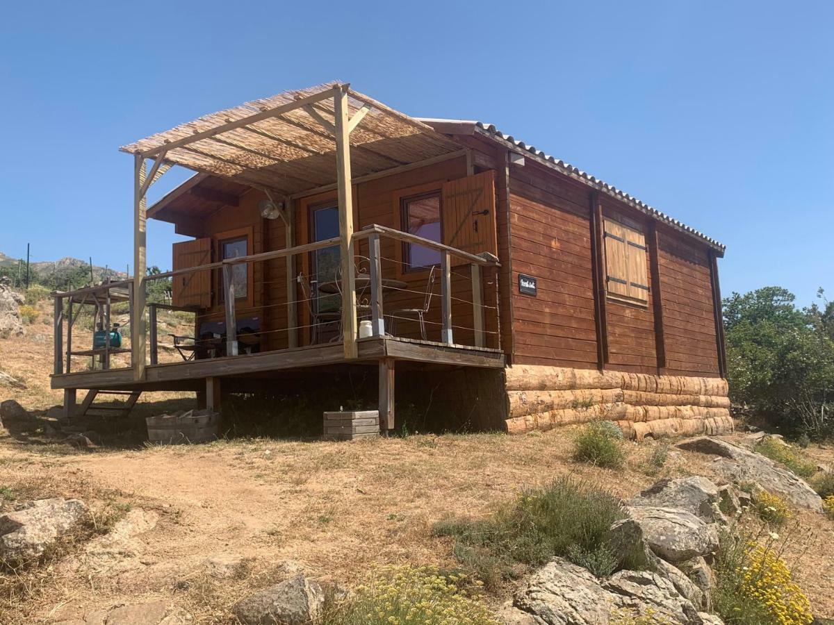 Les Chalets De Lozzi Калакуча Екстериор снимка